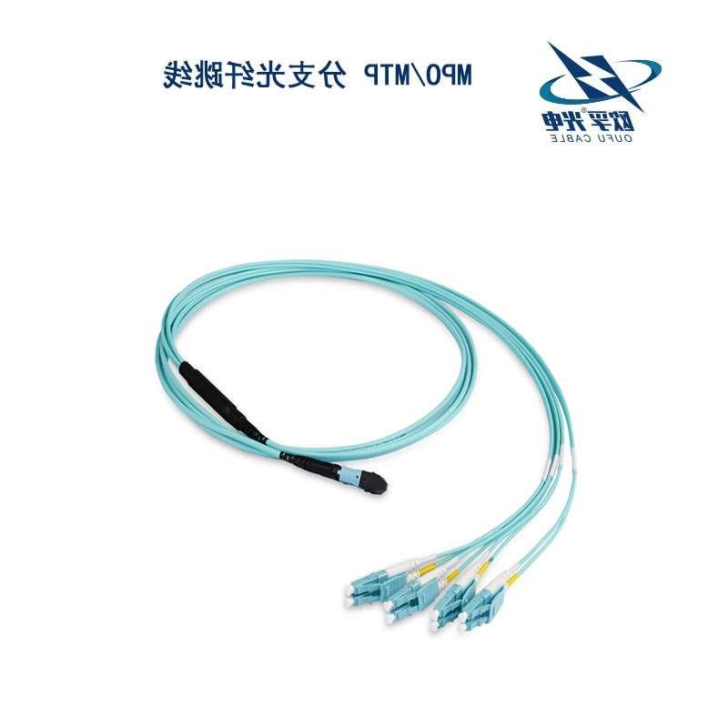 香港MPO/MTP 分支光纤跳线