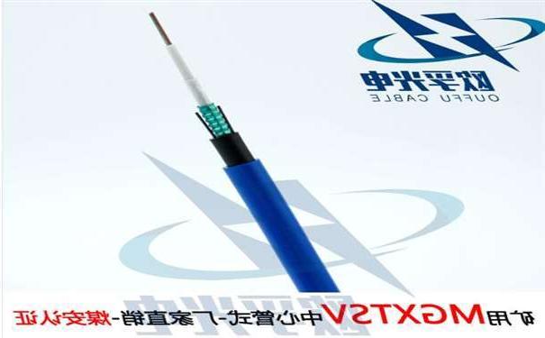 萍乡市欧孚MGXTSV-8B1 矿用单模阻燃光缆G652D纤芯煤安证书