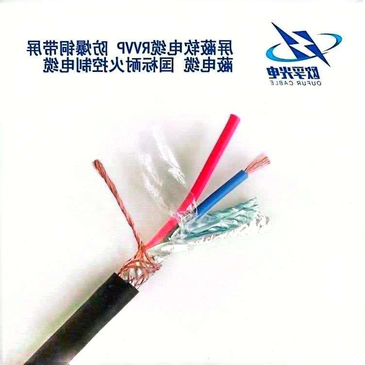 博尔塔拉蒙古自治州RVVP 控制电缆